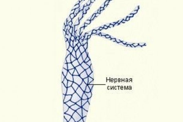 Kraken ссылка на сайт актуальная